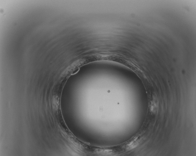 X0000063490476200601271724