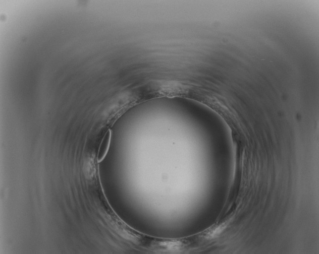 X0000063490478200601271724