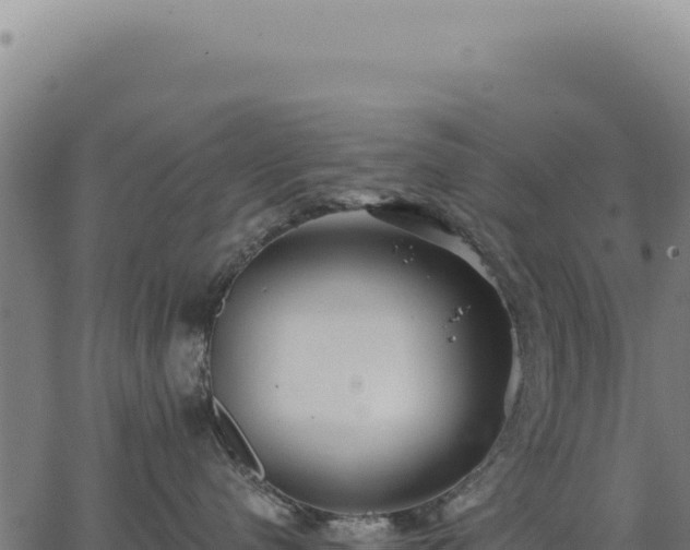 X0000063490480200601271724