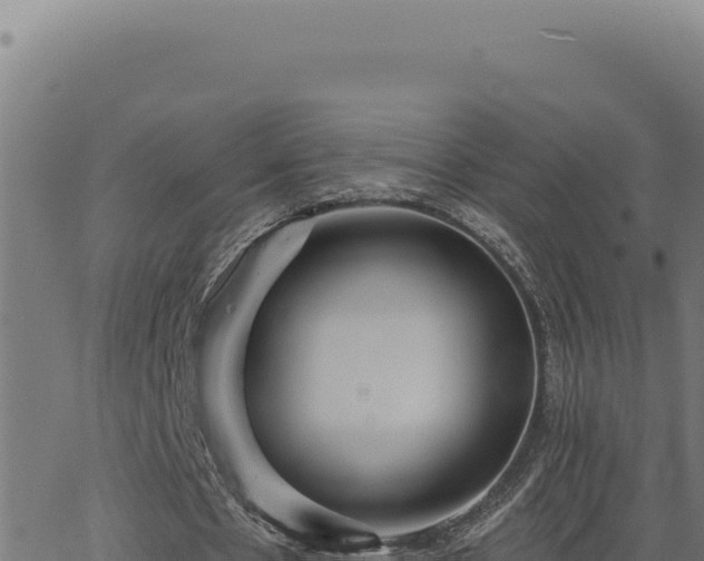 X0000063490481200601271724