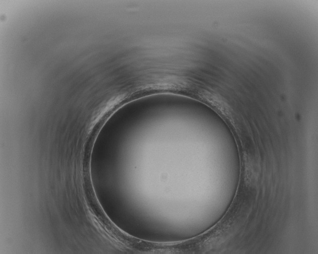 X0000063490482200601271724