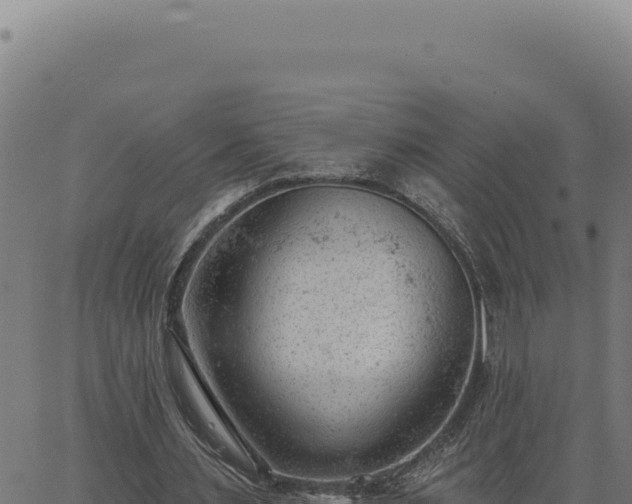 X0000063490483200601271724