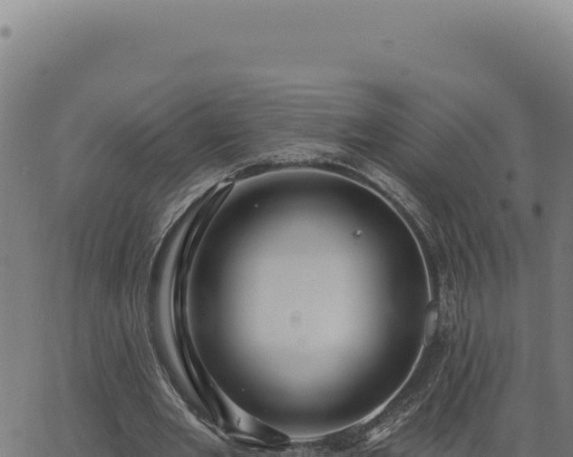 X0000063490485200601271724