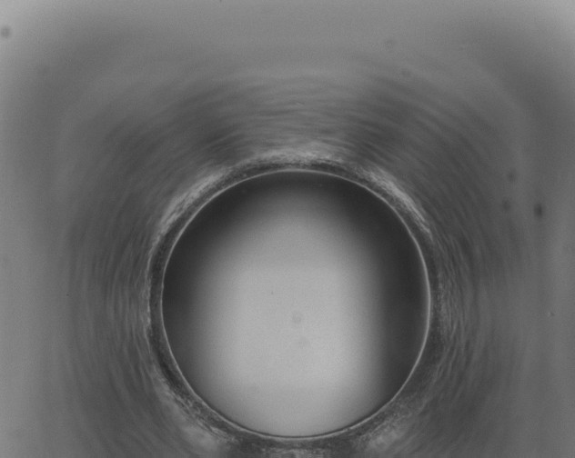 X0000063490486200601271724