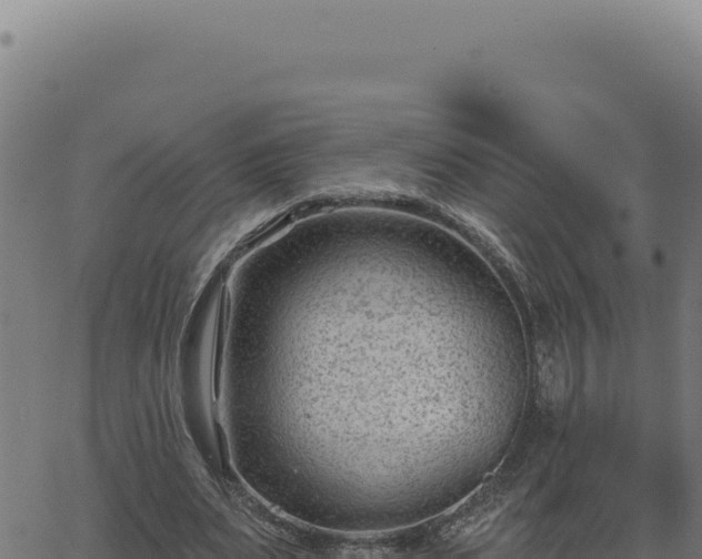 X0000063490487200601271724