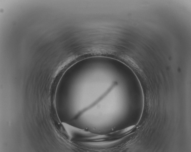 X0000063490488200601271724