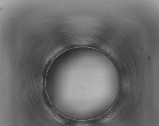 X0000063490490200601271724