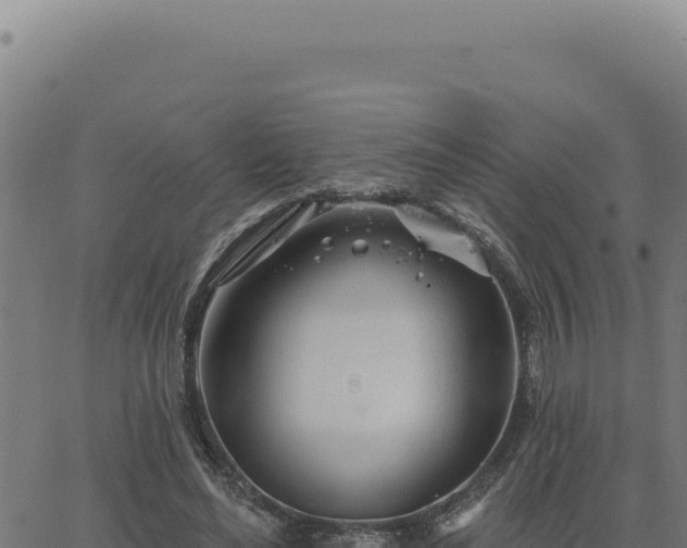 X0000063490492200601271723