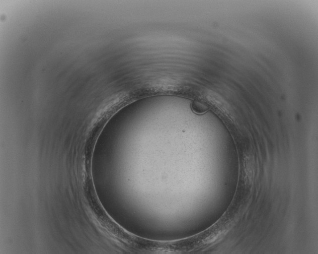 X0000063490494200601271723