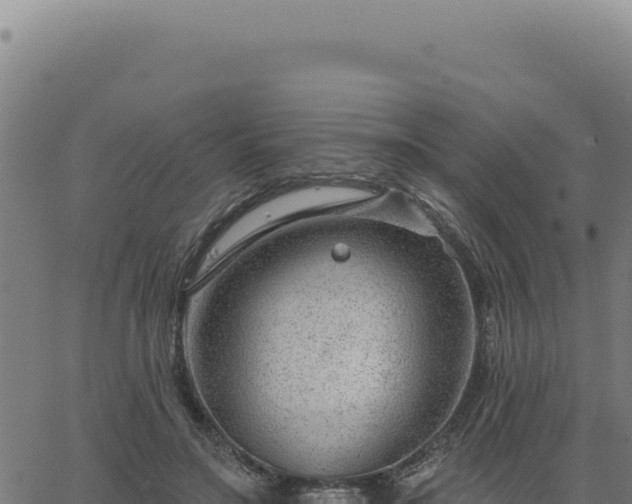 X0000063490499200601271723