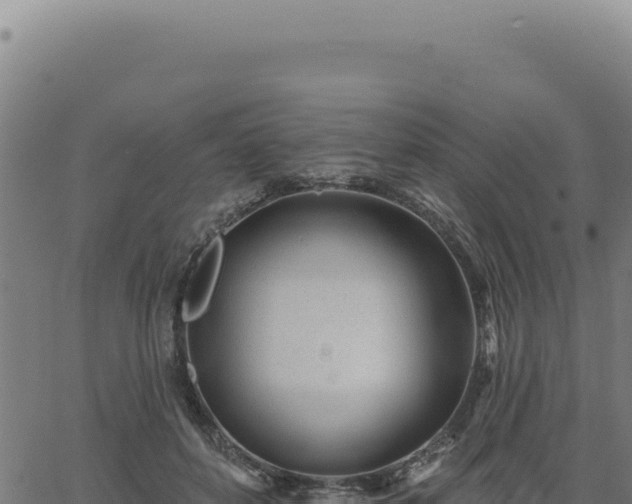 X0000063490504200601271723