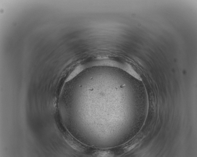 X0000063490507200601271723