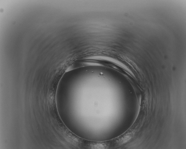 X0000063490513200601271723