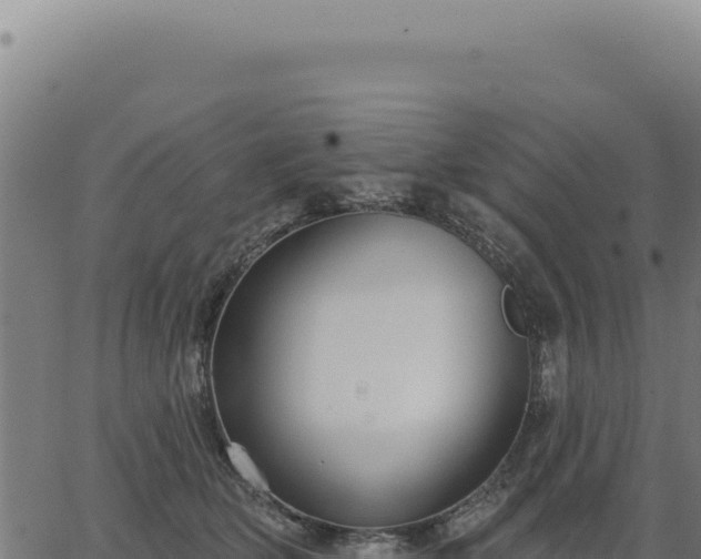 X0000063490514200601271723