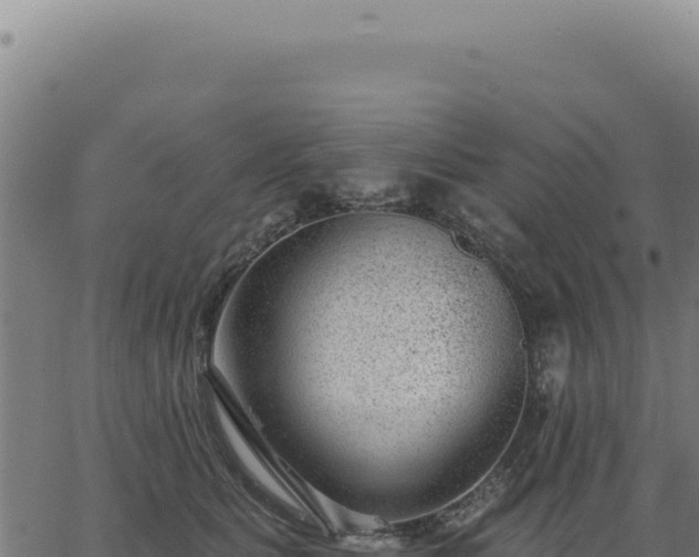 X0000063490515200601271723