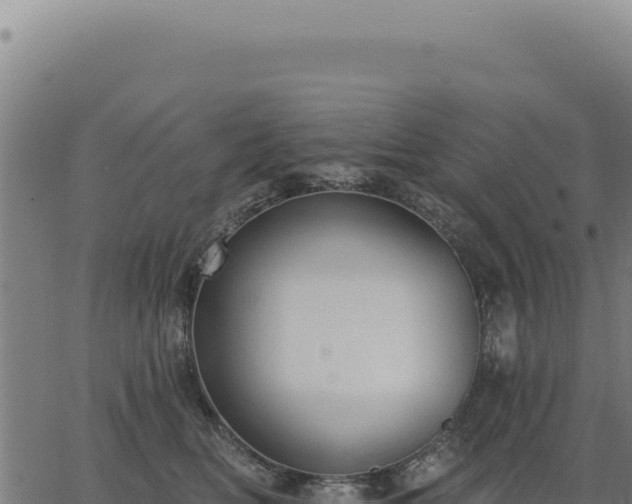 X0000063490518200601271723