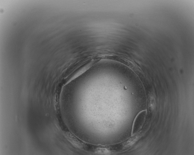 X0000063490519200601271723