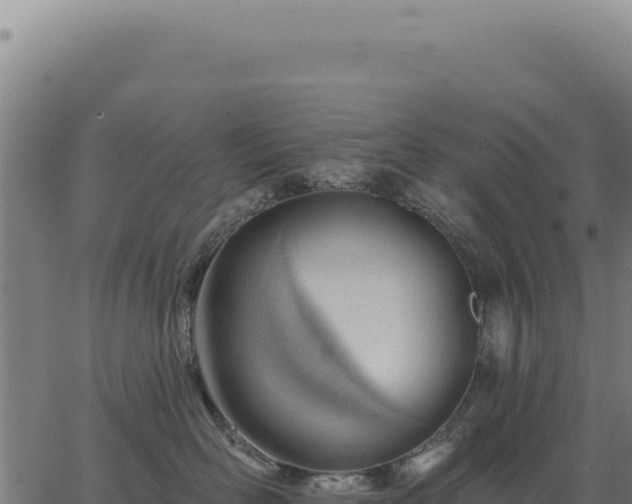 X0000063490526200601271723