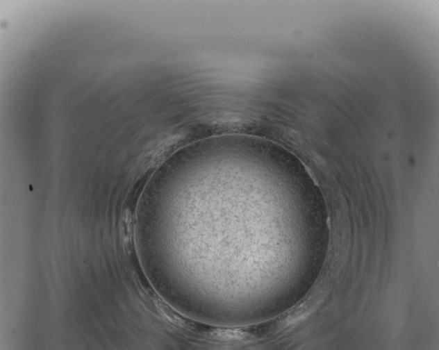 X0000063490528200601271723