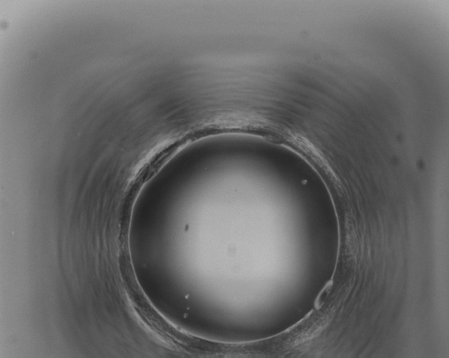 X0000063490530200601271722