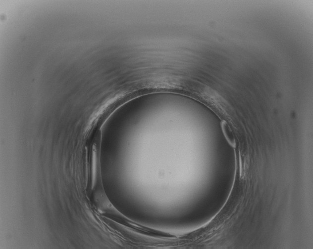 X0000063490531200601271722