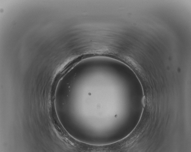 X0000063490532200601271722