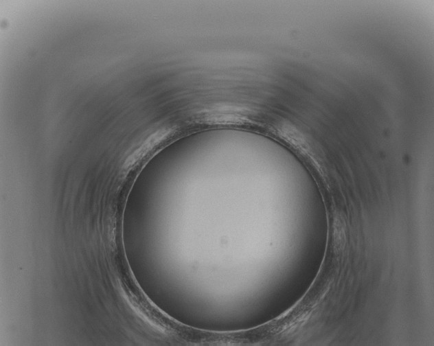 X0000063490533200601271722