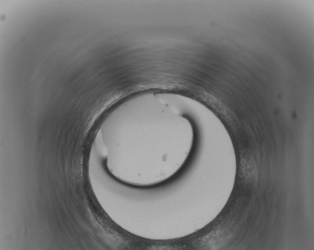 X0000063490534200601271722