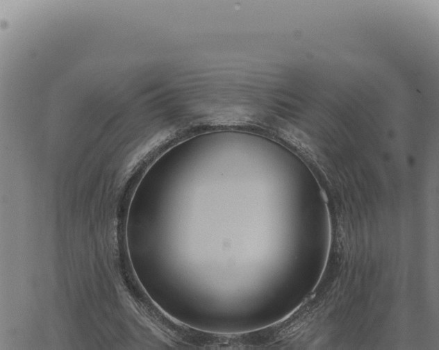 X0000063490535200601271722