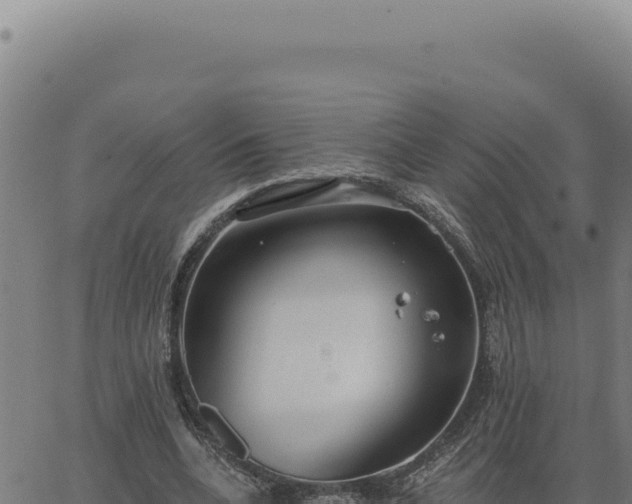 X0000063490536200601271722