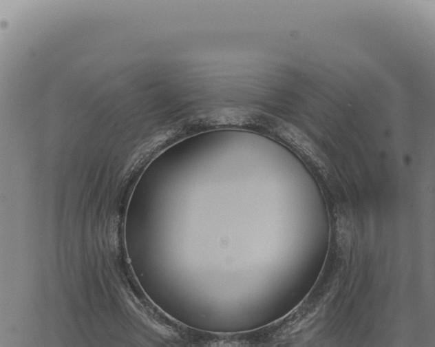 X0000063490537200601271722