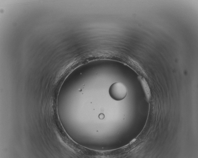 X0000063490538200601271722