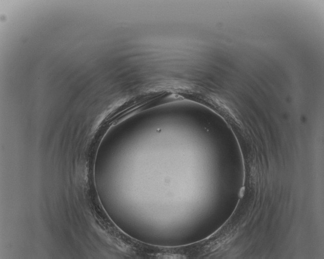 X0000063490539200601271722