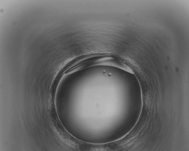 X0000063490540200601271722