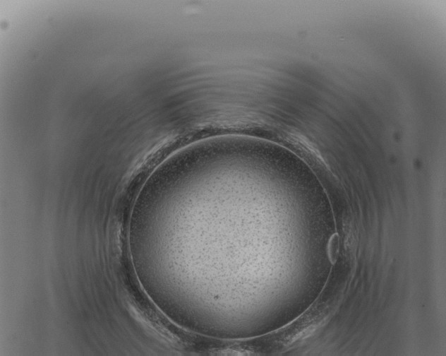 X0000063490542200601271722