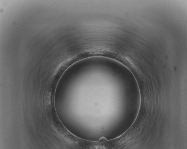 X0000063490543200601271722