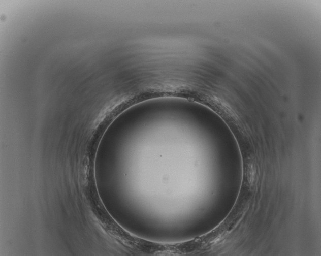 X0000063490544200601271722