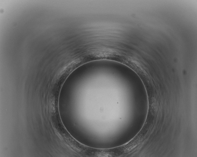 X0000063490547200601271722