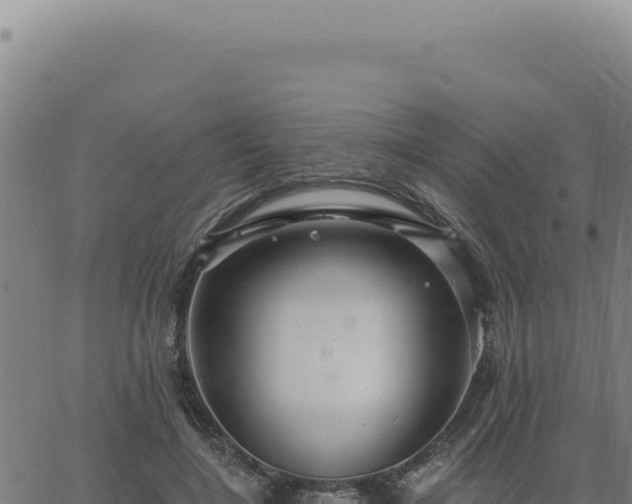 X0000063490548200601271722