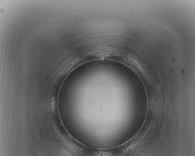 X0000063490549200601271722