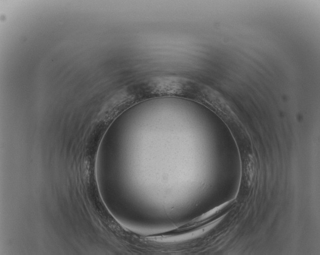 X0000063490551200601271722