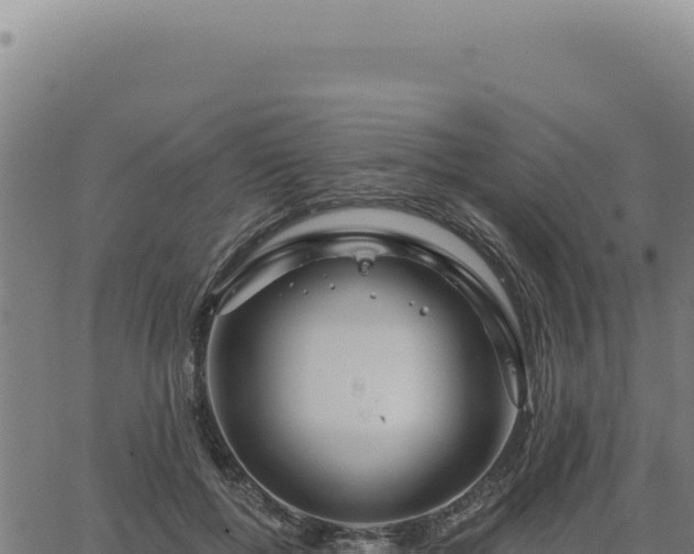 X0000063490552200601271722