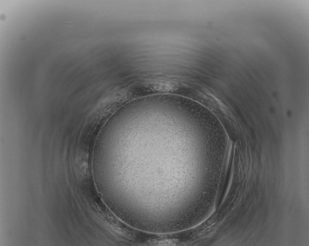 X0000063490553200601271722