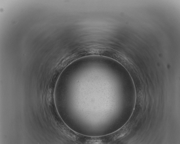 X0000063490554200601271723