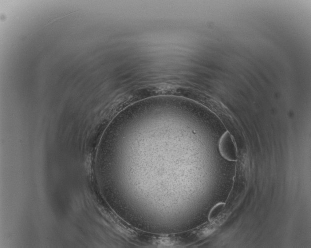 X0000063490565200601271723