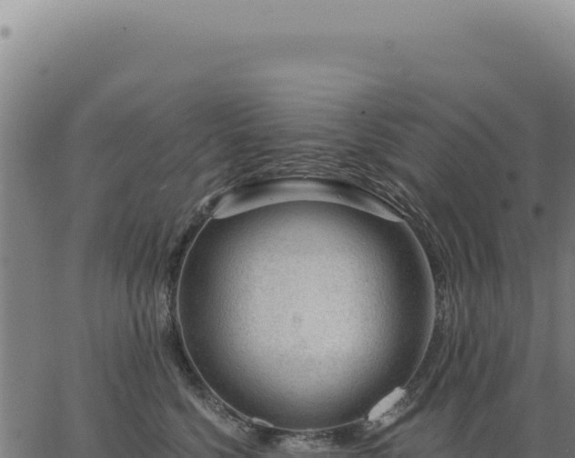 X0000063490568200601271723