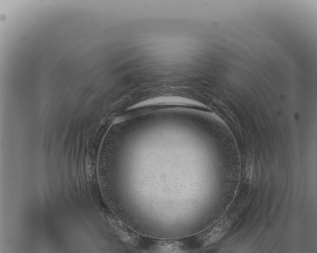 X0000063490569200601271723