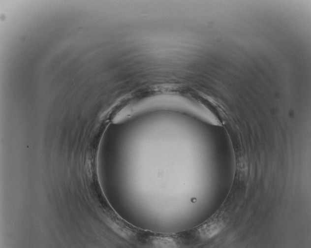 X0000063490572200601271723