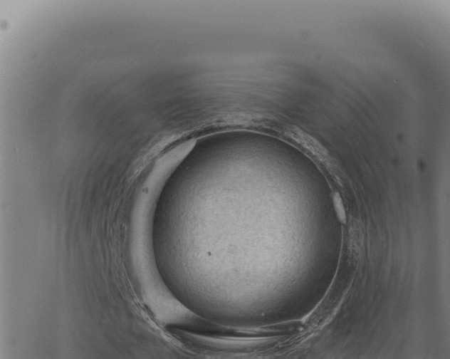 X0000063490577200601271722