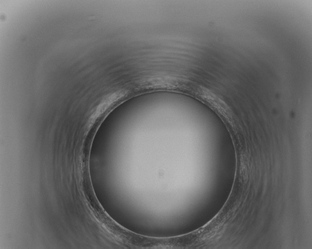 X0000063490578200601271722